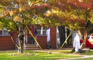Halloween 2010