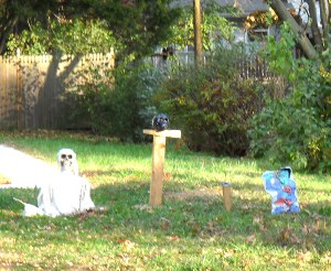 Halloween 2010