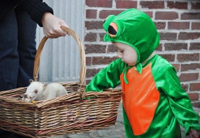 Halloween 2010